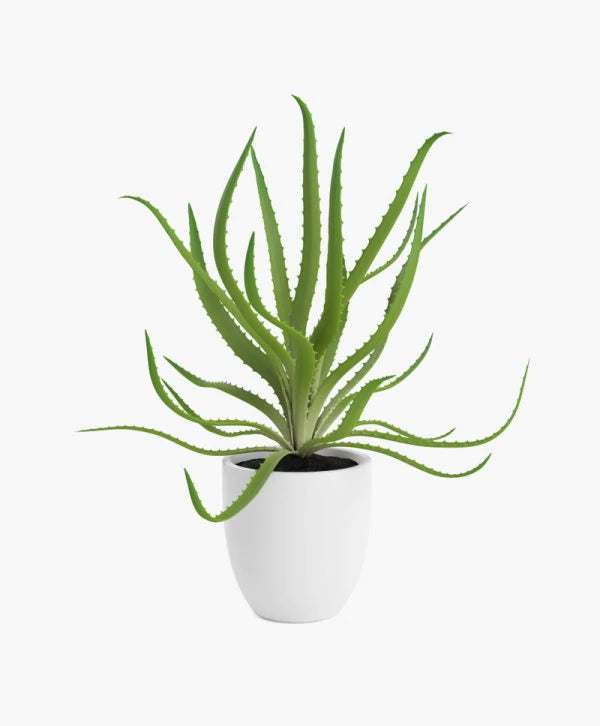 New and sale badge product