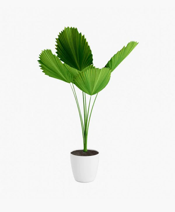 New and sale badge product