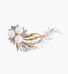 Dummy text for title